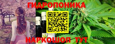 ешки Гай
