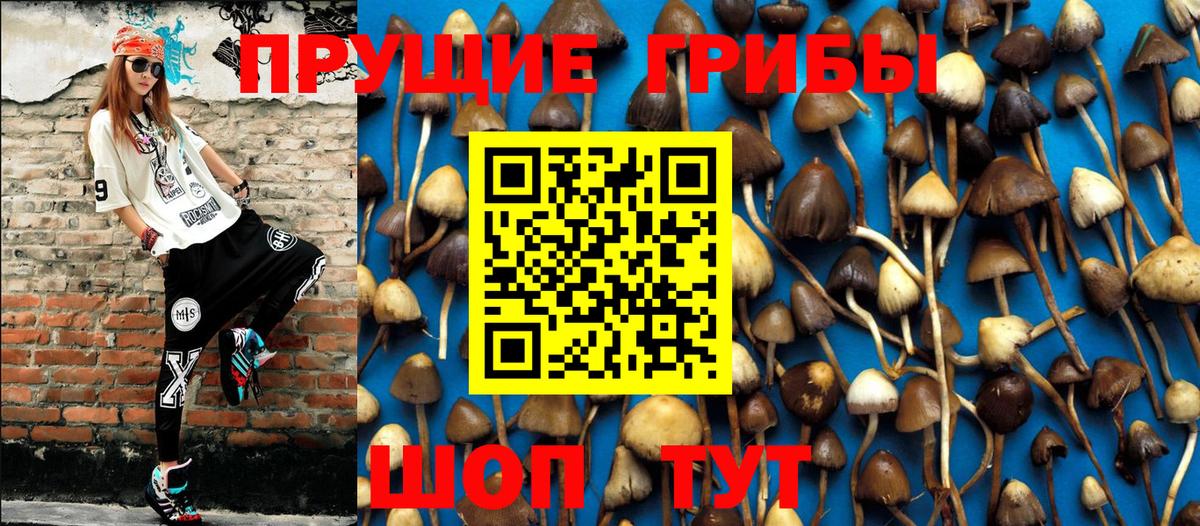 Минеральные Воды  Галлюциногенные грибы ЛСД  Вход с VPN 