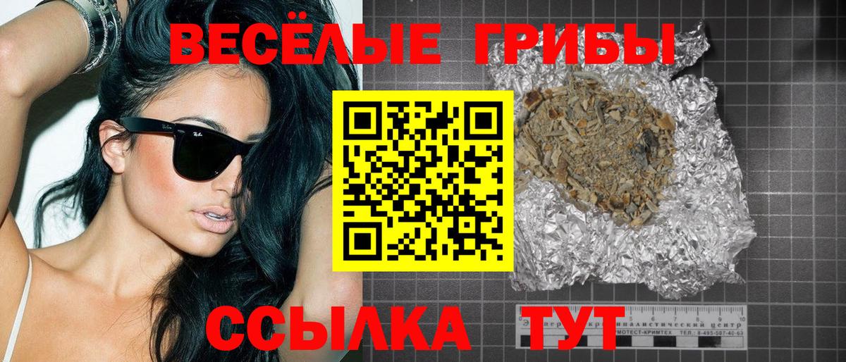 Псилоцибиновые грибы GOLDEN TEACHER Минеральные Воды